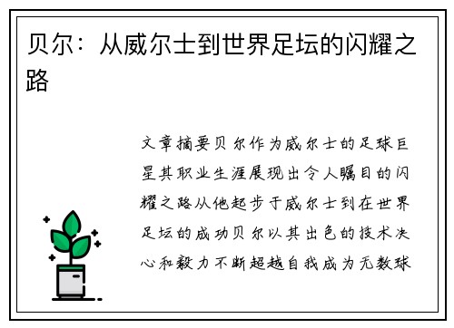 贝尔：从威尔士到世界足坛的闪耀之路