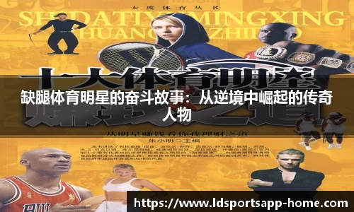 LD乐动体育官网