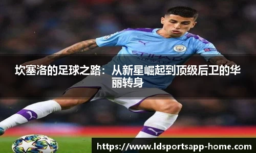 LD乐动体育官网