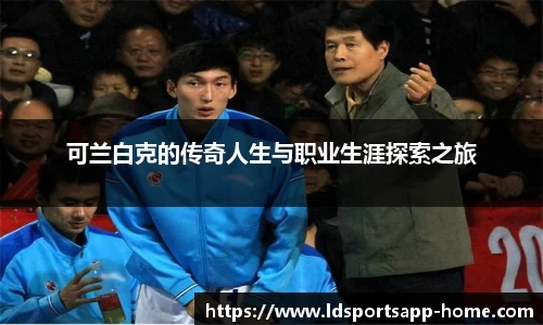 LD乐动体育app